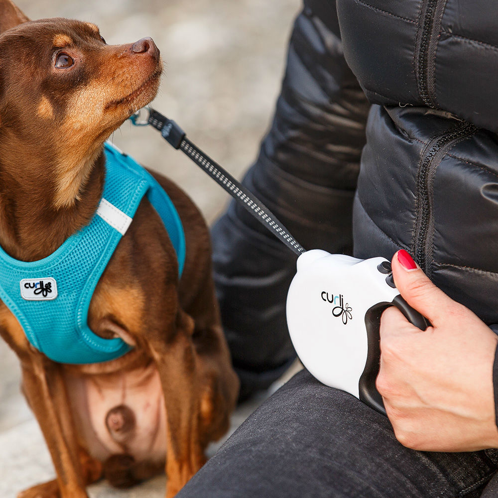 Curli Rollleine für Hunde Bild 2