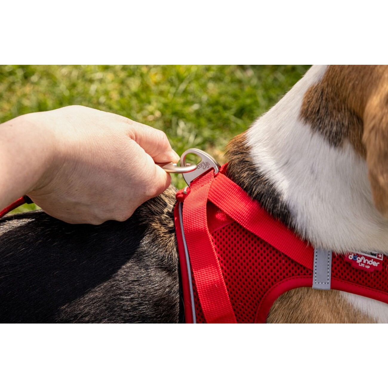 Curli Vest Geschirr Magnetic V2 Bild 4