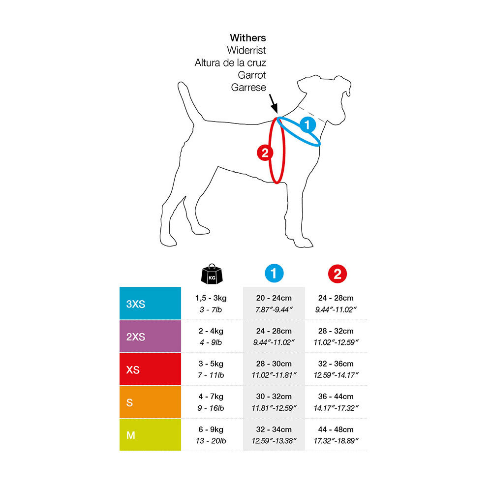 Curli Vest Geschirr mit Leine Puppy Welpen Set Bild 6