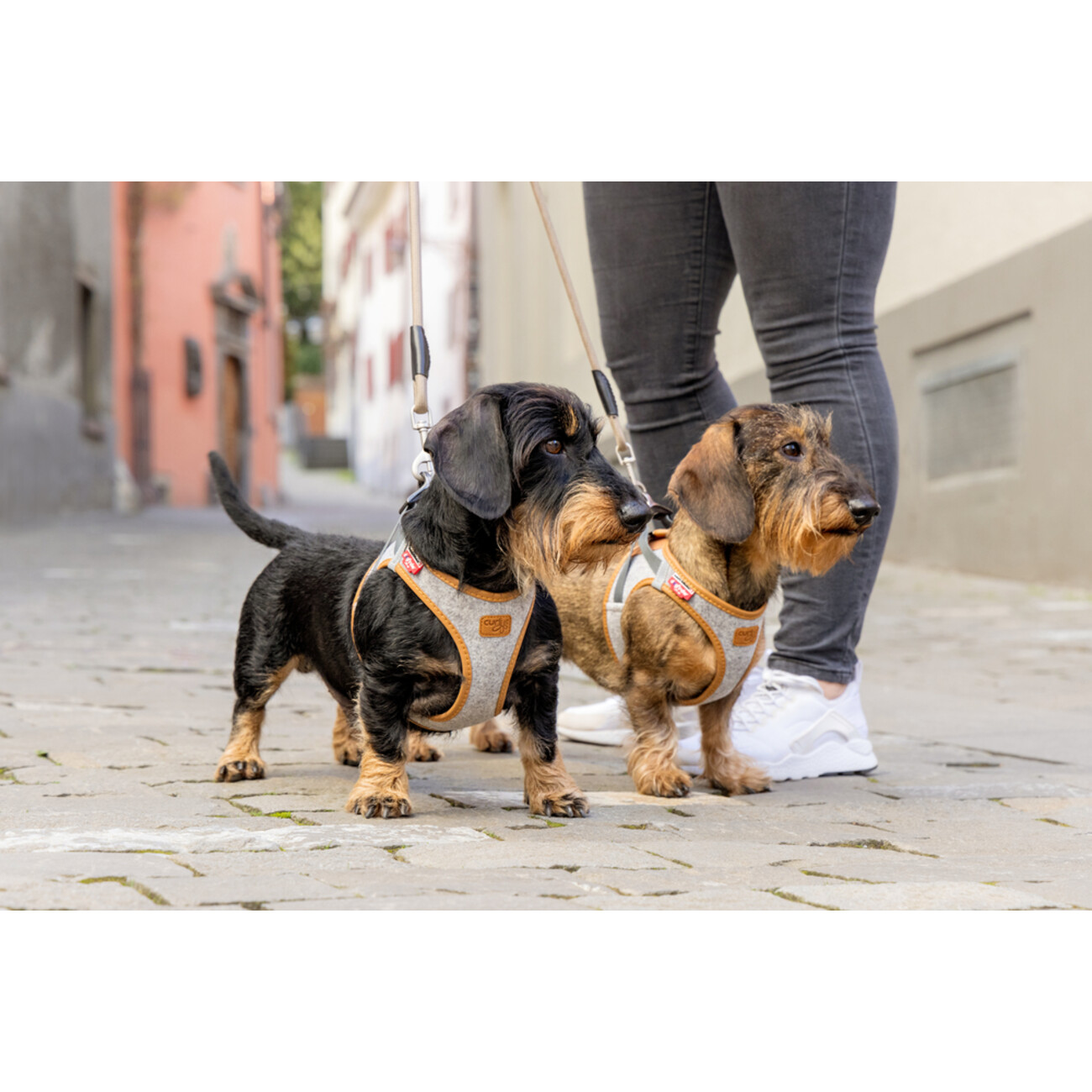 Curli Clasp Vest Harness Alpine – Dein Hundeglück Bild 2