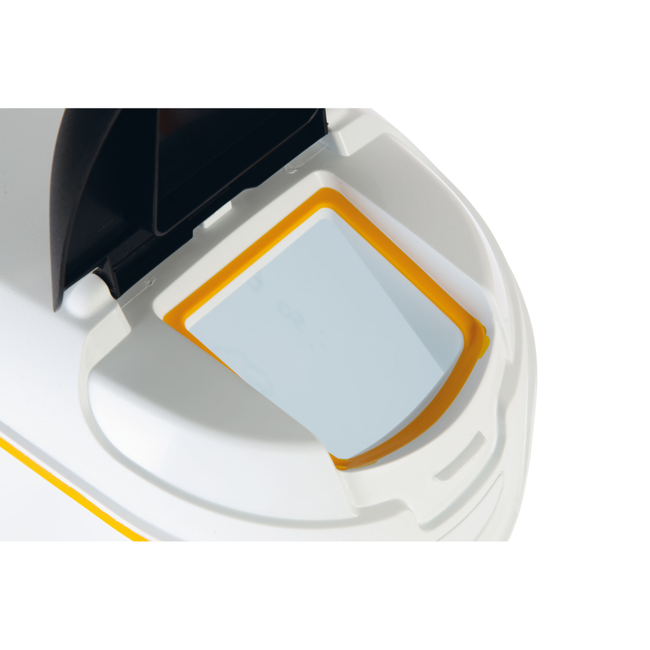 Curver Futtercontainer Hund Dinner Is Served Bild 16