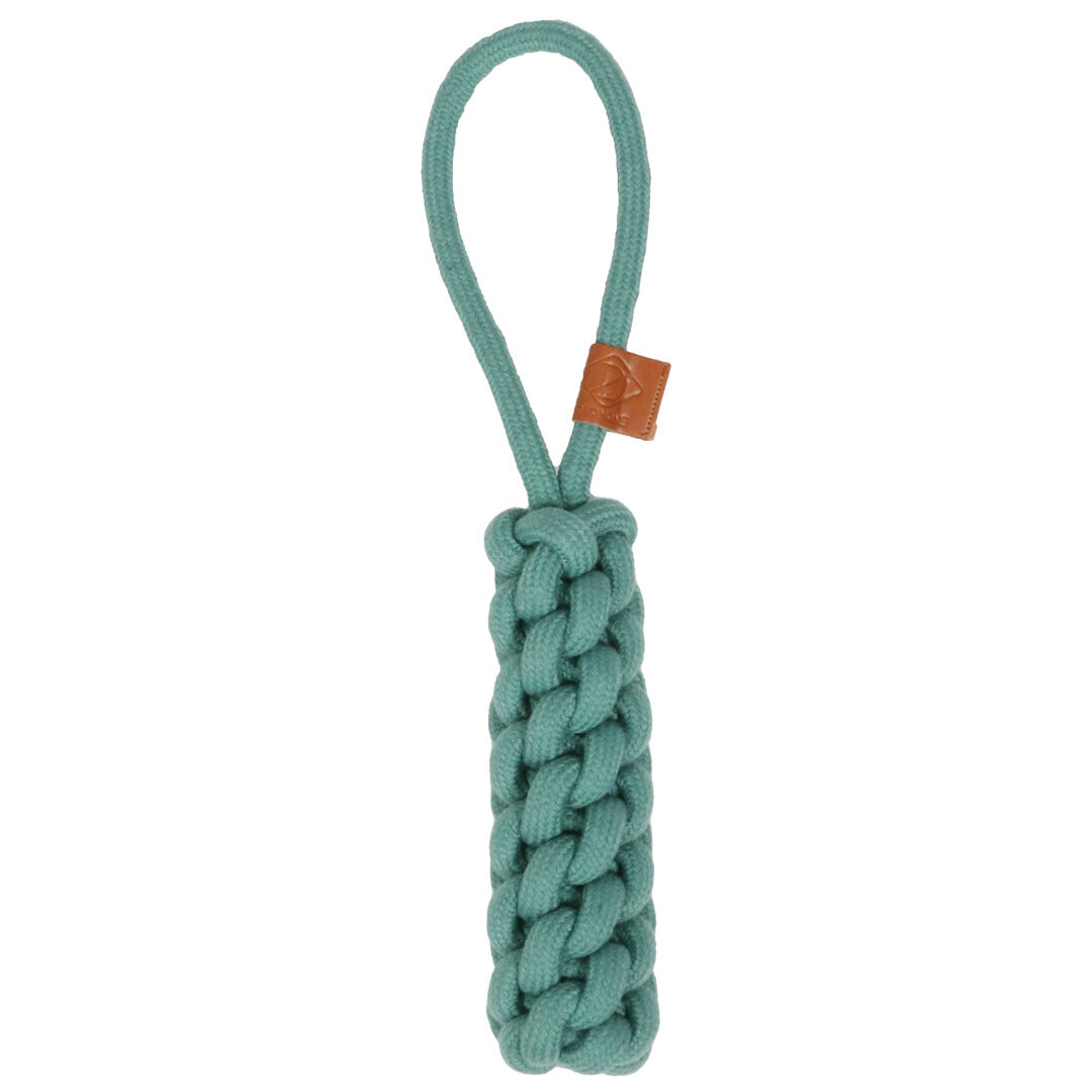 Dente rope toy Hundetau Bild 18