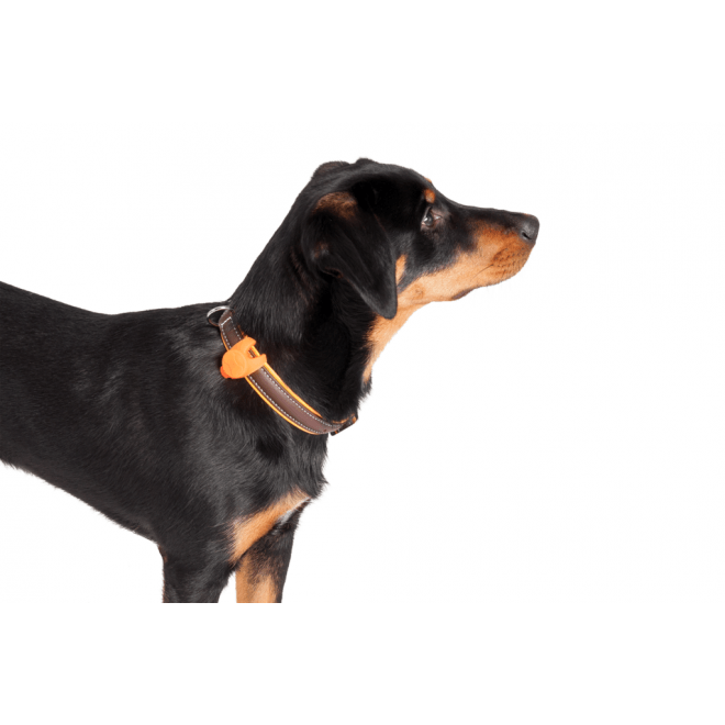 Day&Night Blinki Silikon Leuchtanhänger Bild 5