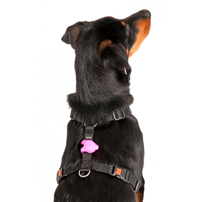 Day&Night Blinki Silikon Leuchtanhänger Bild 7