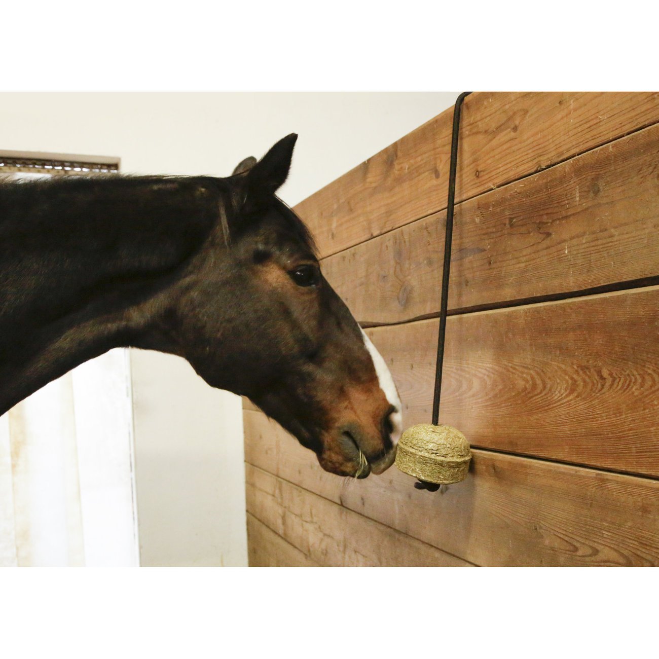 Delizia Knabberball HaySwing für Pferde Bild 3