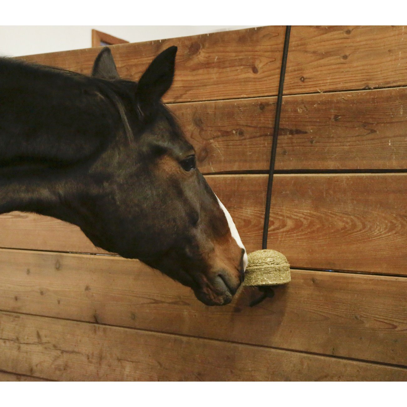 Delizia Knabberball HaySwing für Pferde Bild 6
