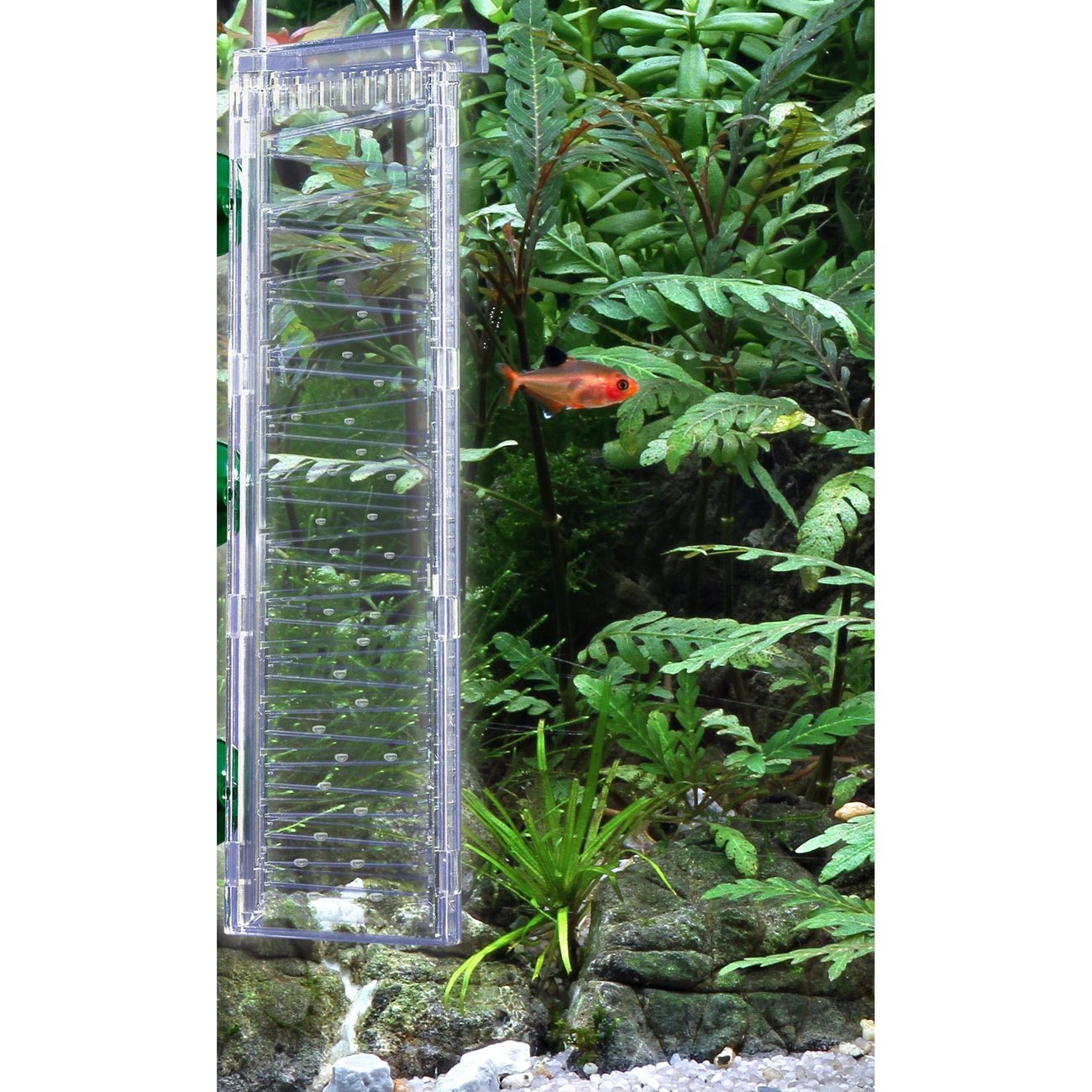 Dennerle CO2 Flipper Bild 4