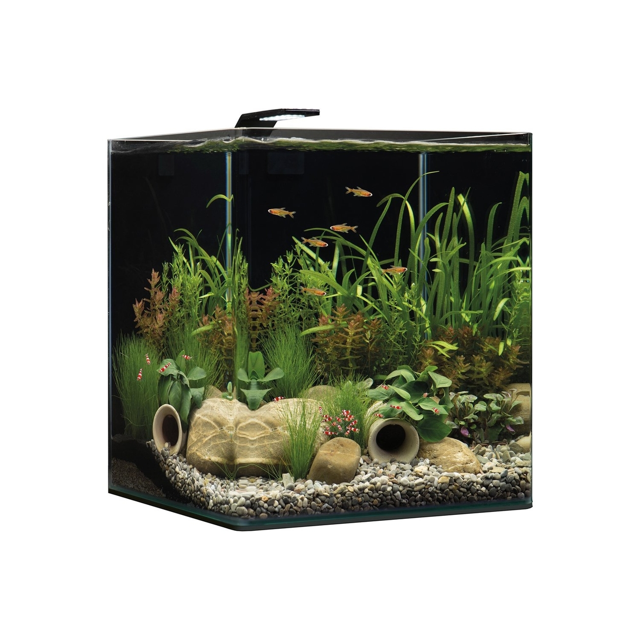 Dennerle NanoCube Complete+ Style LED Bild 12