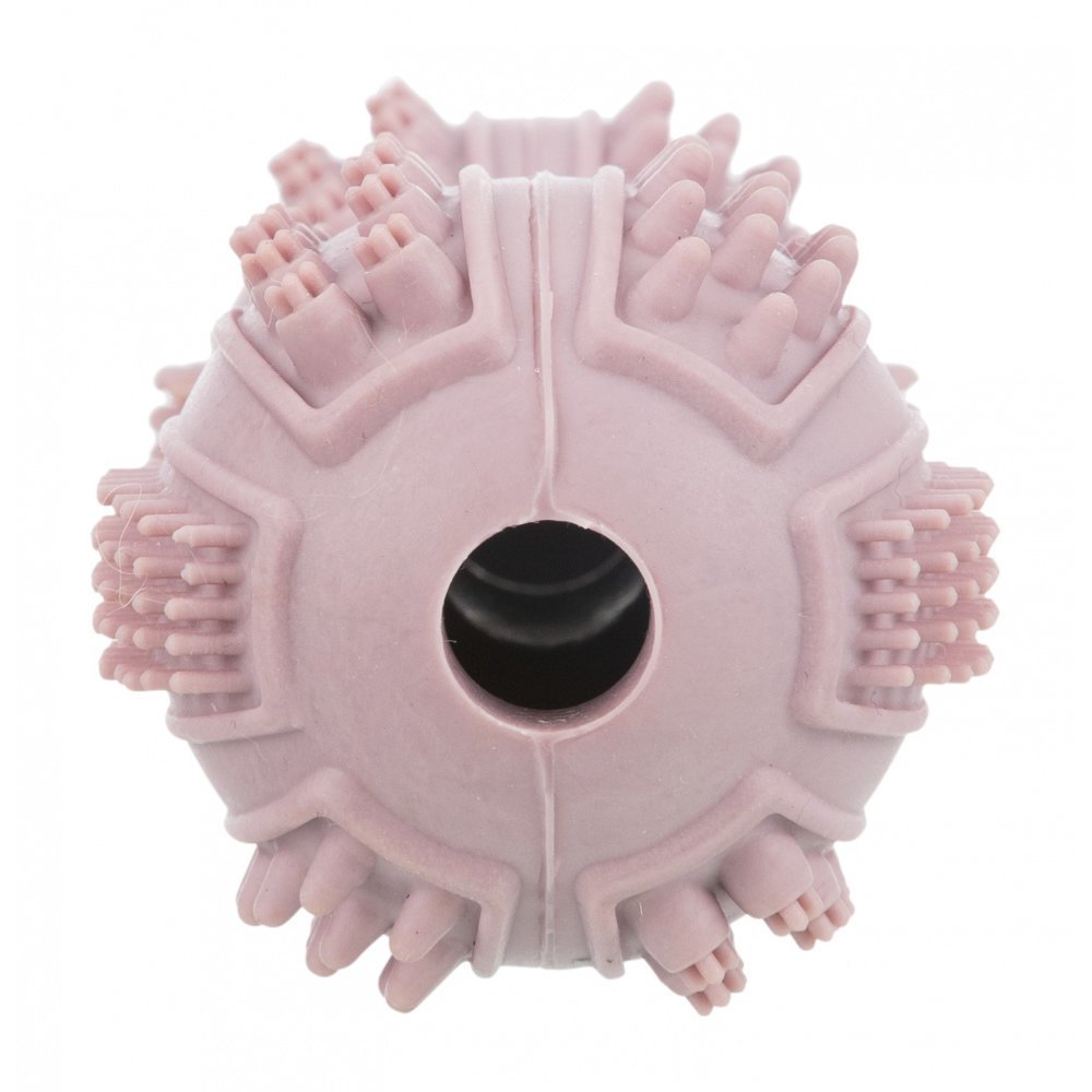 Junior Gummi Hantel für Hunde Bild 3