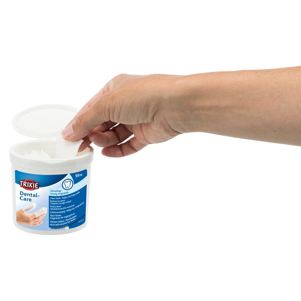 Dental Care Zahnpflege Bild 3