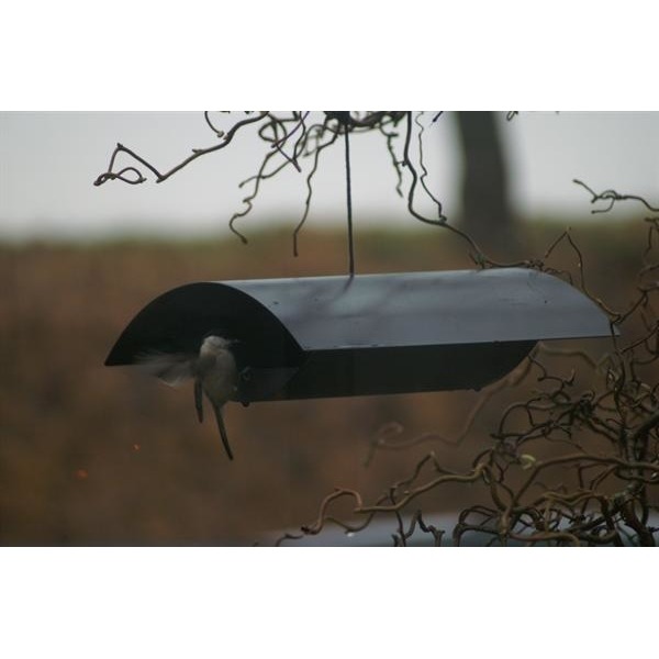 Design Vogelhaus Seagull Bild 2