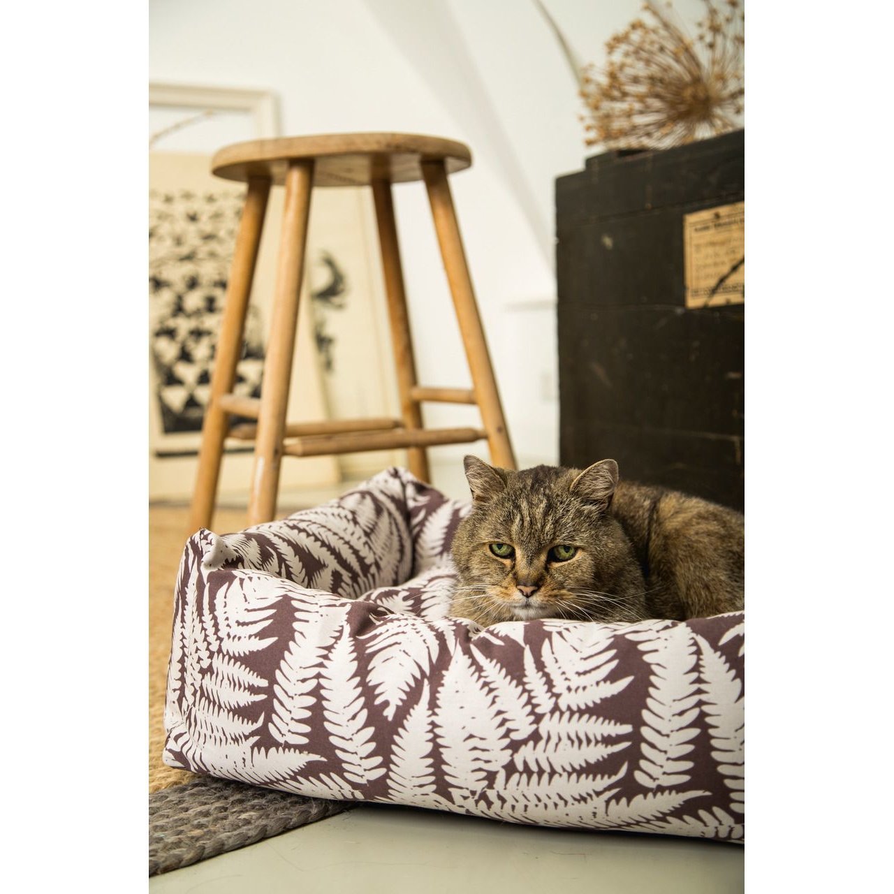 Designed by Lotte Bett Ferny für Hunde und Katzen Bild 3