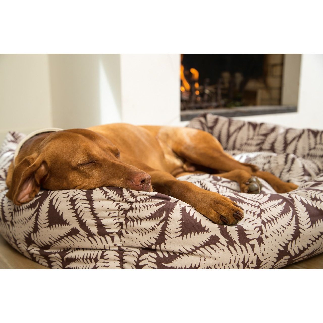 Designed by Lotte Bett Ferny für Hunde und Katzen Bild 2