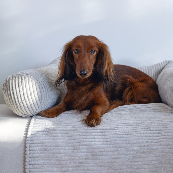 Couchkissen Ribbed Bild 8