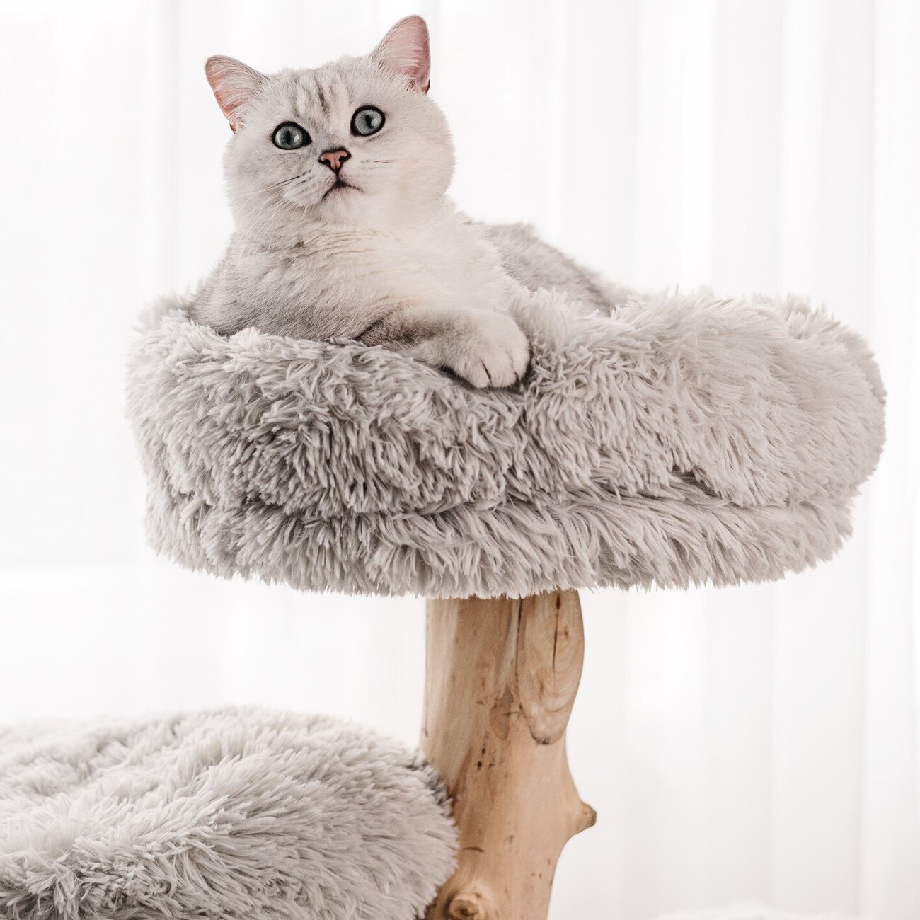 Echtholz Kratzbaum Ziza Bild 3