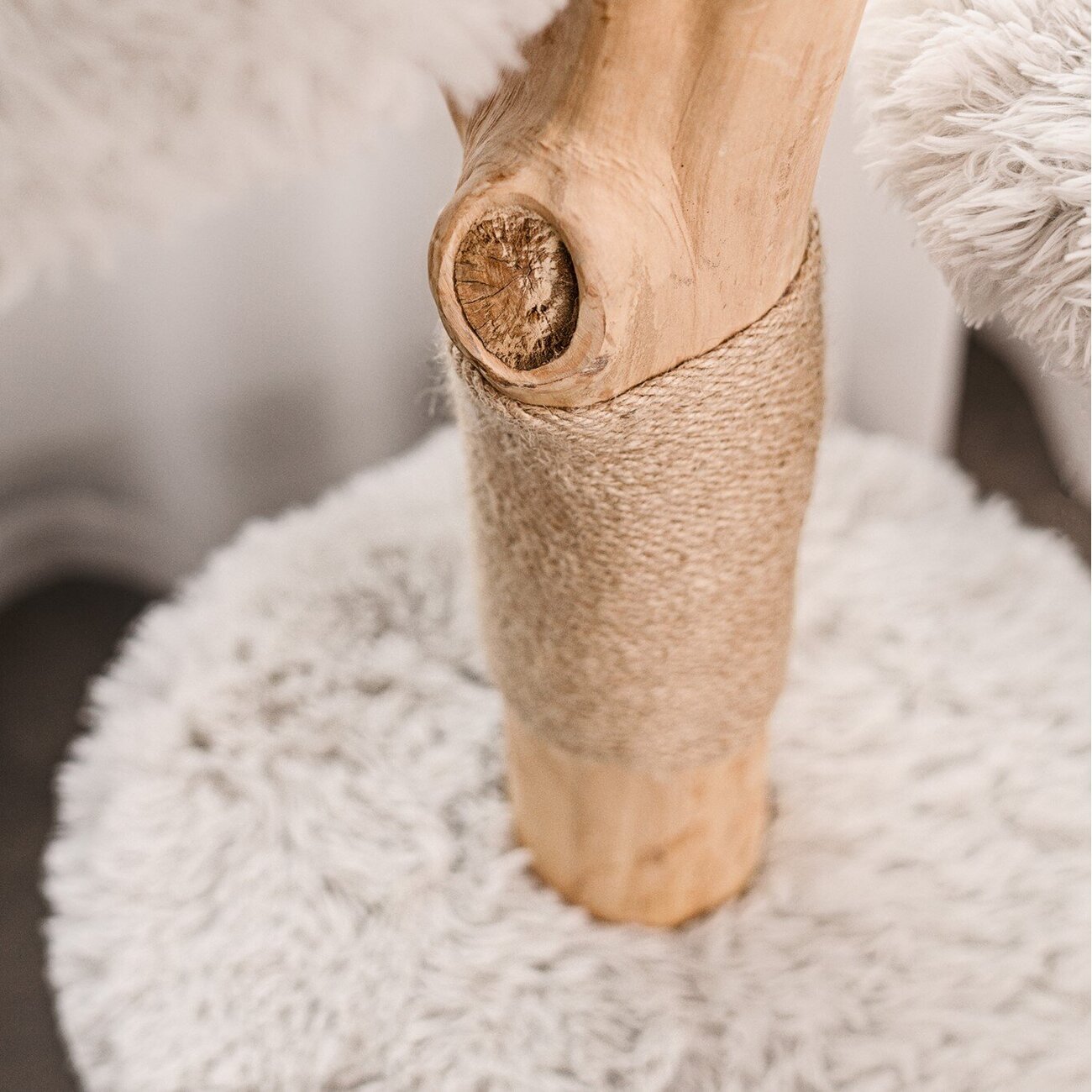 Echtholz Kratzbaum Ziza Bild 12