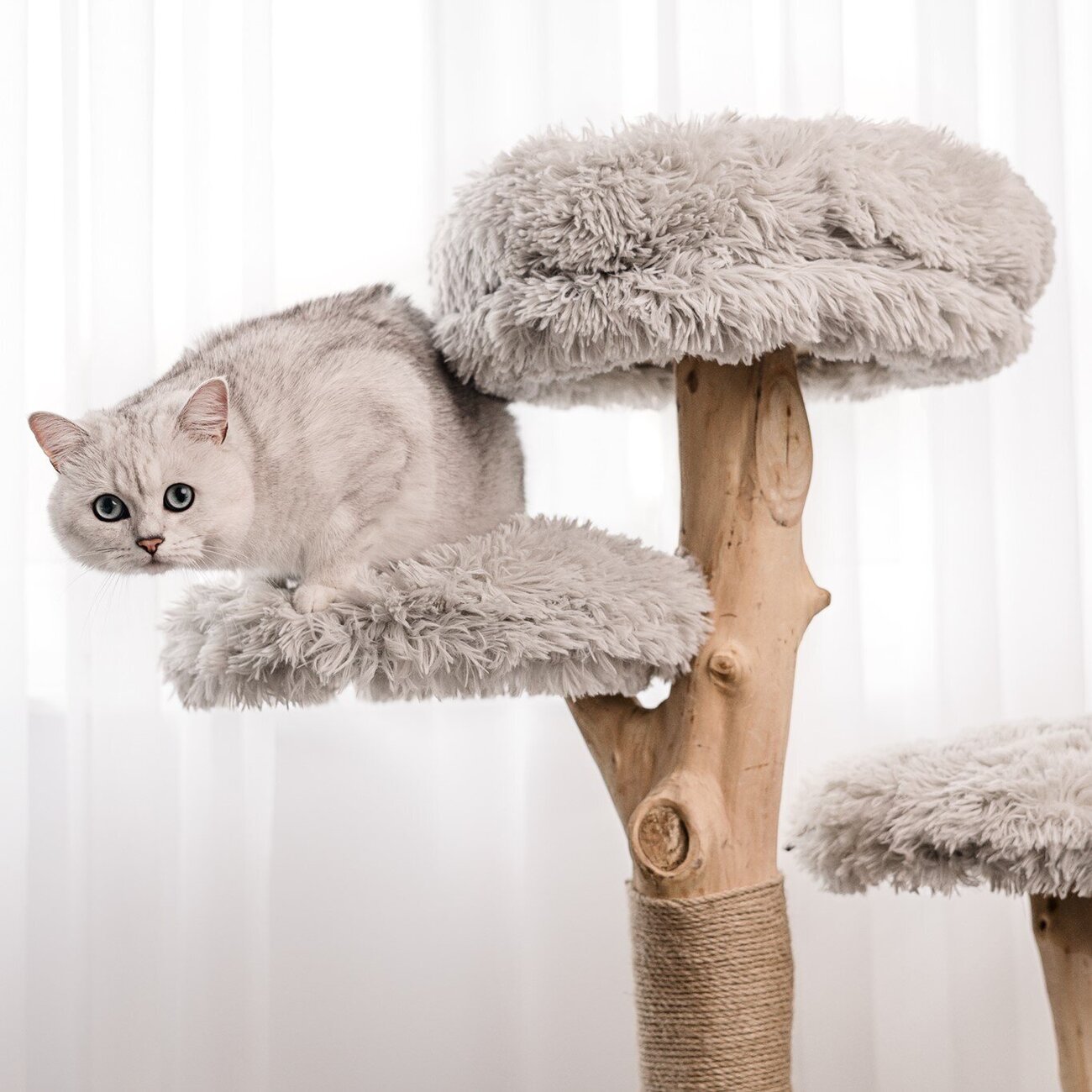 Echtholz Kratzbaum Ziza Bild 7