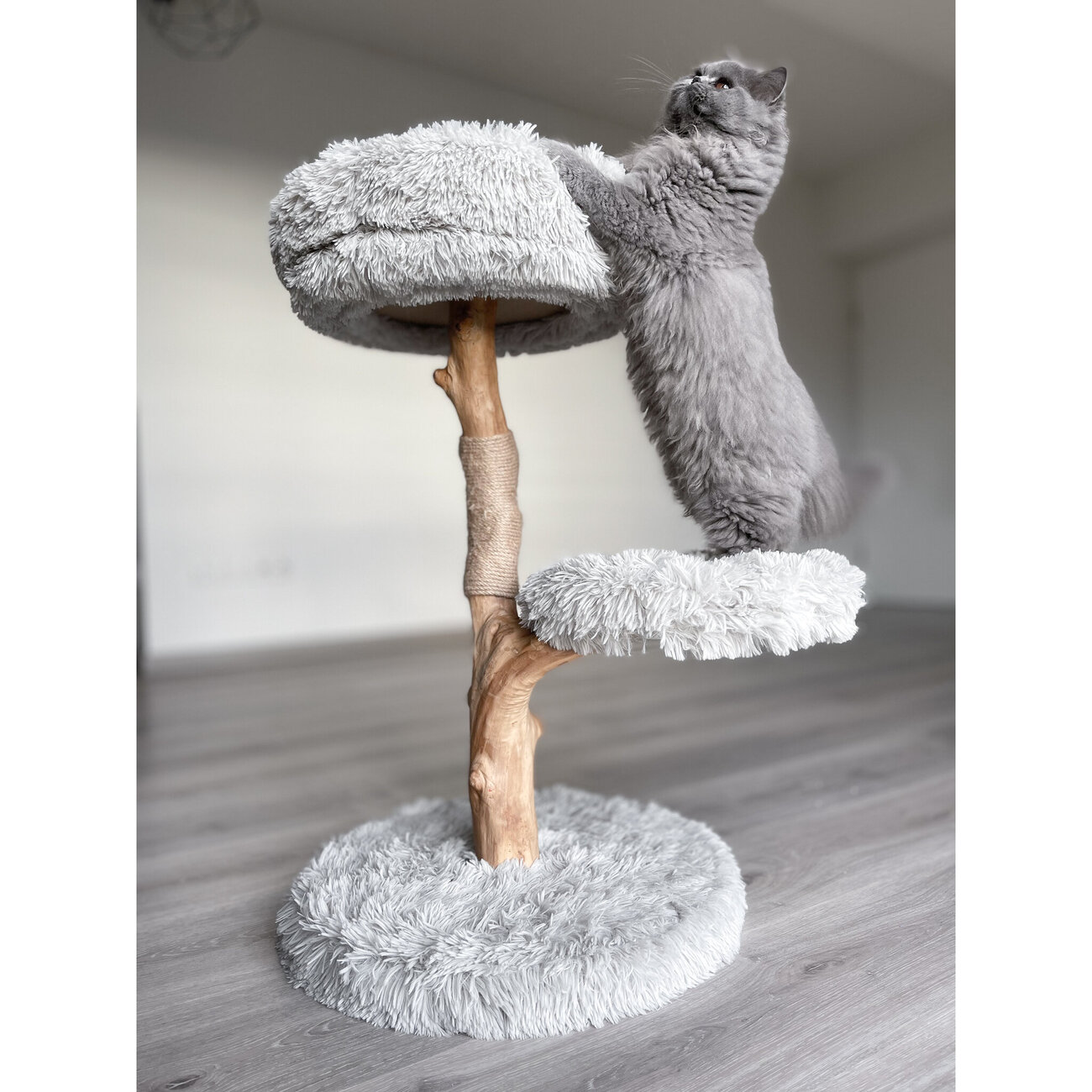 Echtholz Kratzbaum Zora Bild 4