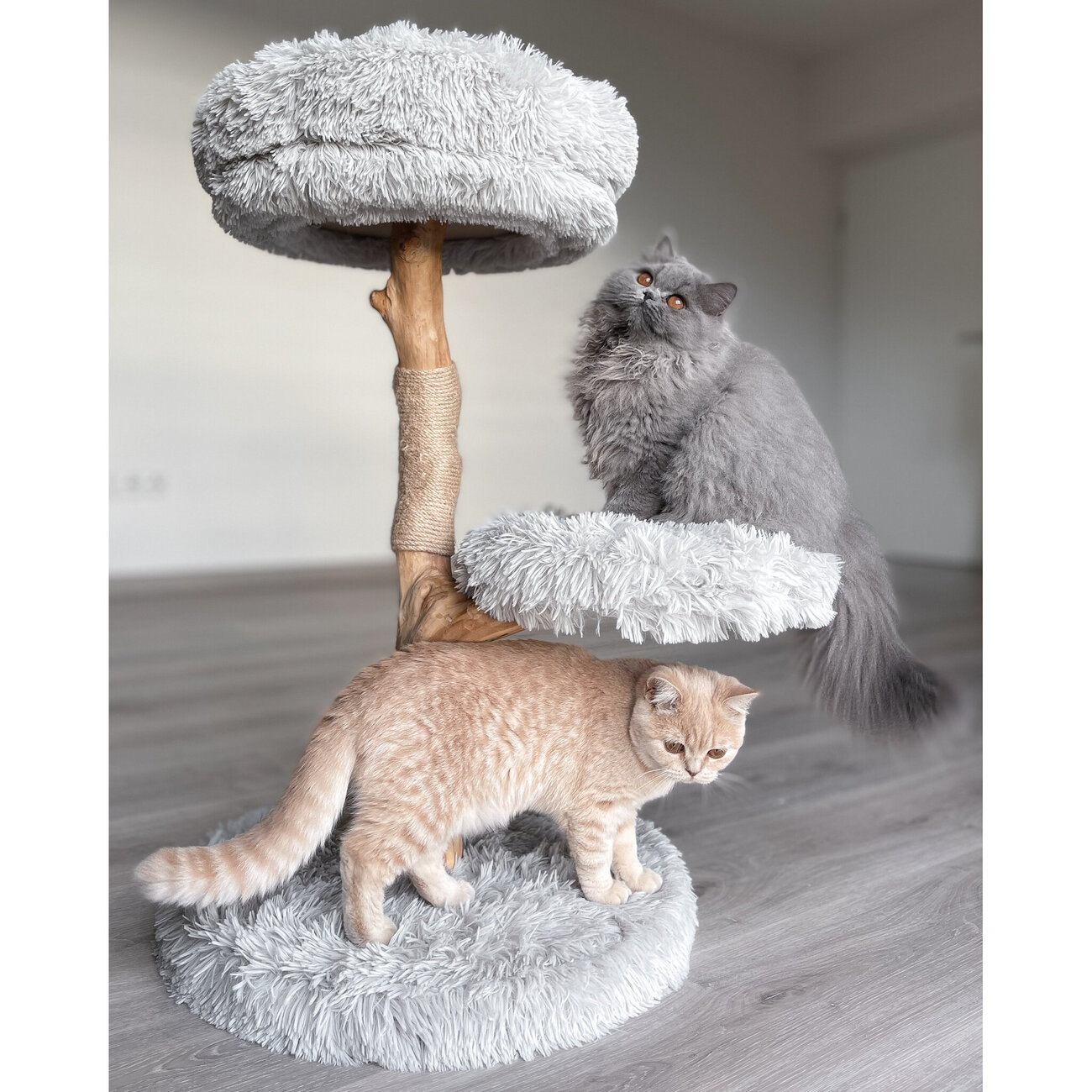 Echtholz Kratzbaum Zora Bild 2