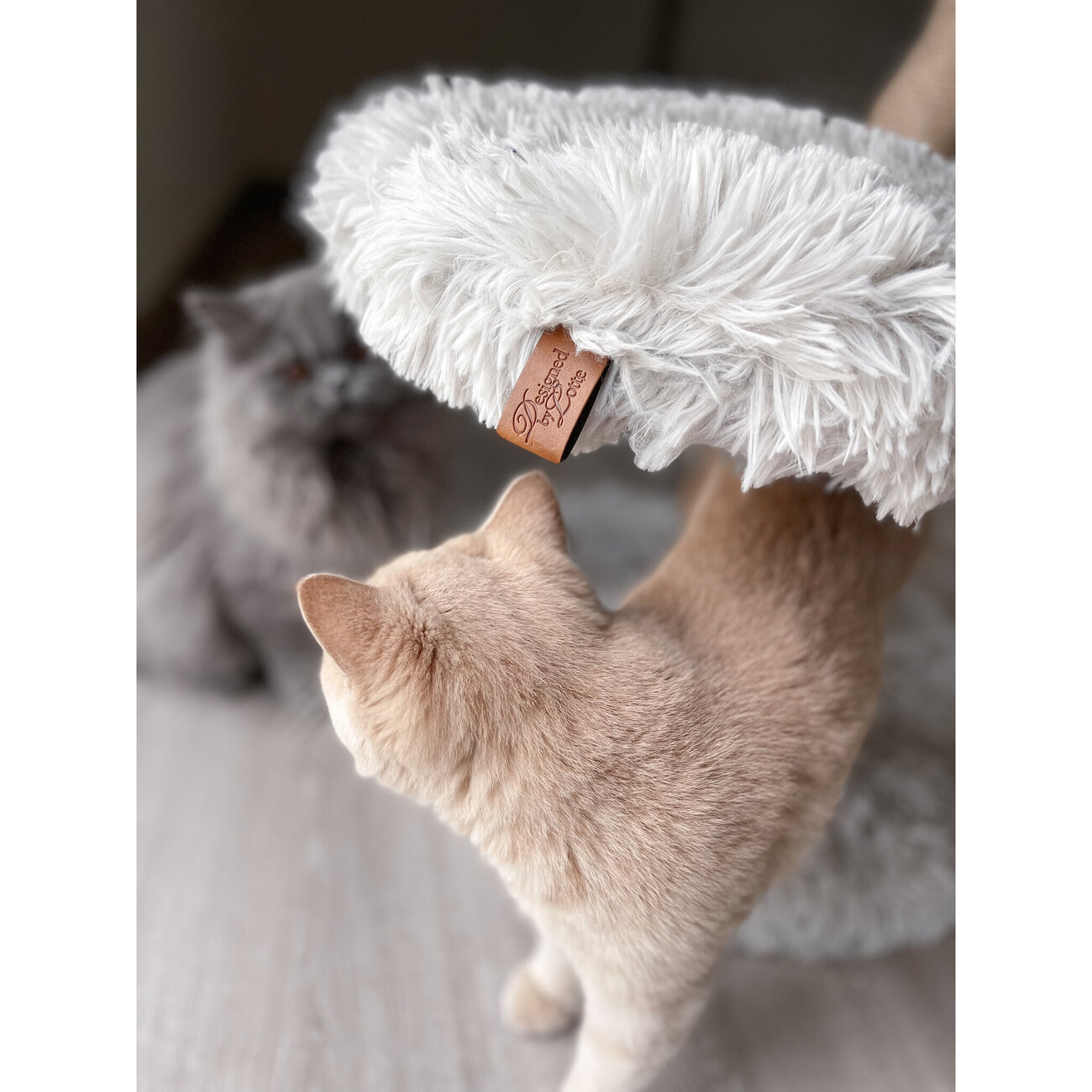 Echtholz Kratzbaum Zora Bild 9