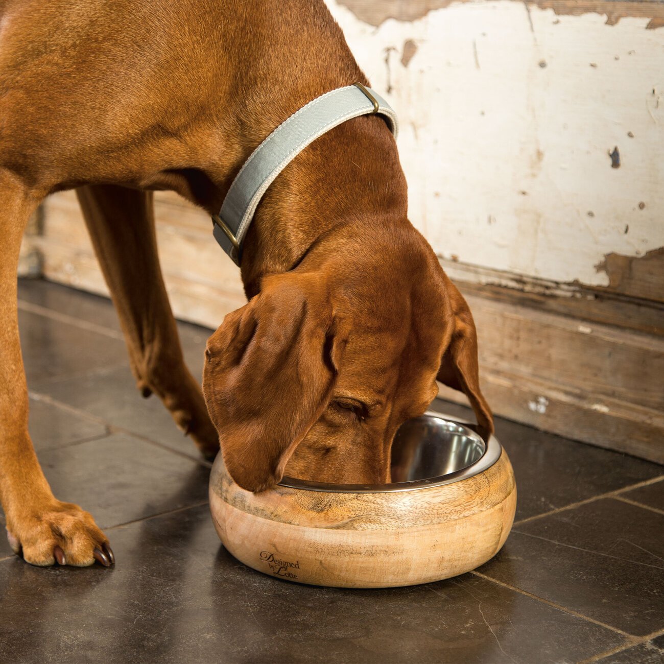 Futternapf MANDIRA aus Holz Bild 4