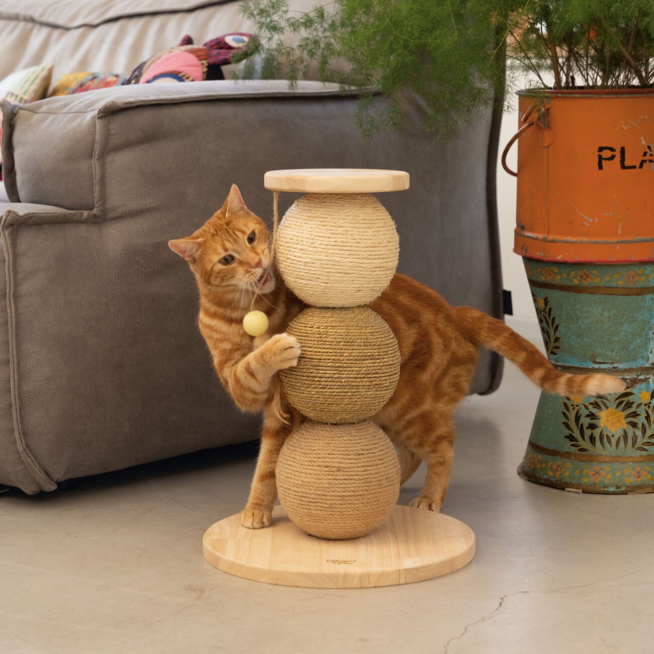 Holz Kratzbälle Elio Bild 2