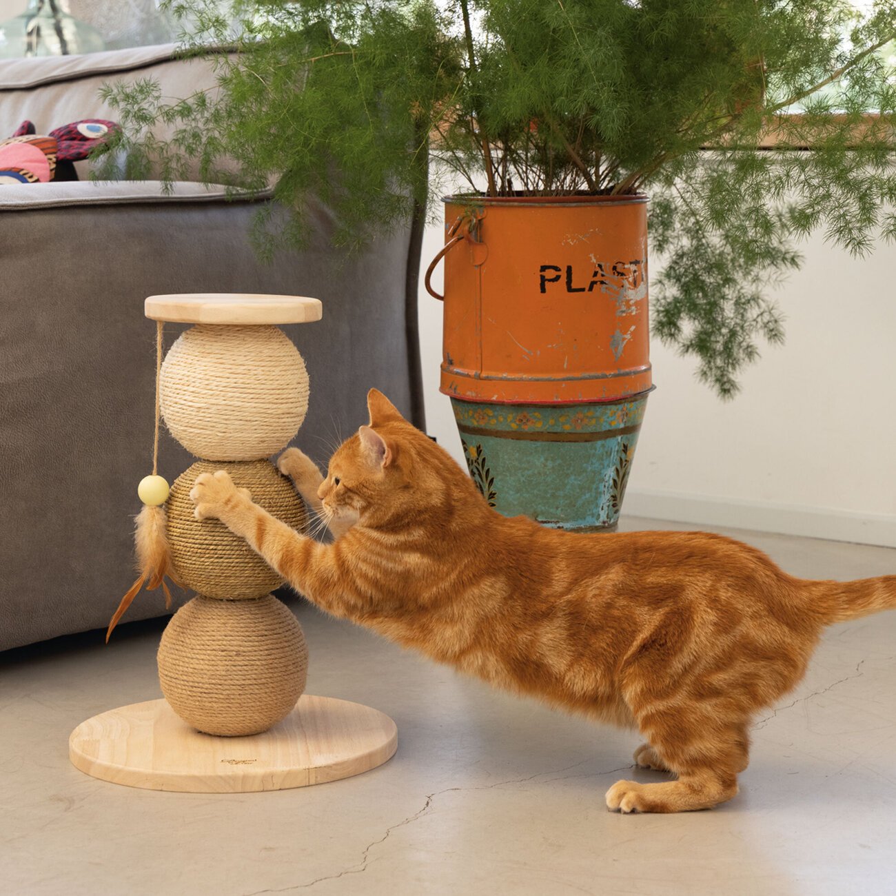 Holz Kratzbälle Elio Bild 3