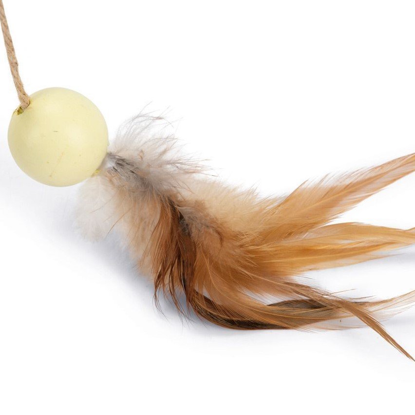 Holz Kratzball Wiggly Bild 5