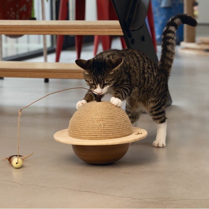 Holz Kratzball Wiggly Bild 2