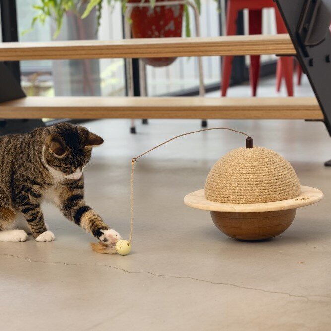 Holz Kratzball Wiggly Bild 3