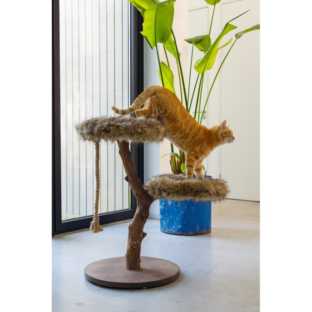 Designed by Lotte Holz Kratzbaum Aviva Bild 2