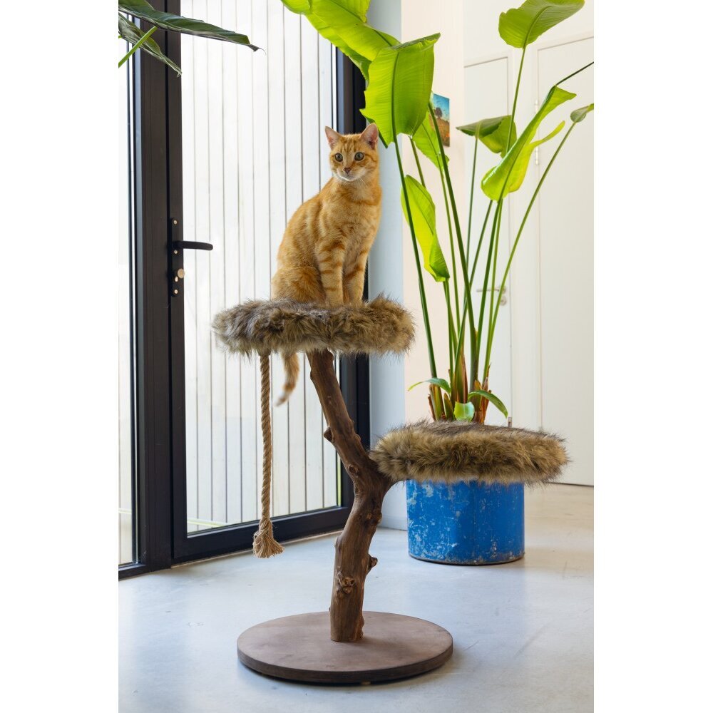 Designed by Lotte Holz Kratzbaum Aviva Bild 3