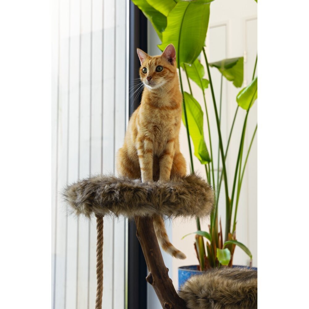 Designed by Lotte Holz Kratzbaum Aviva Bild 4