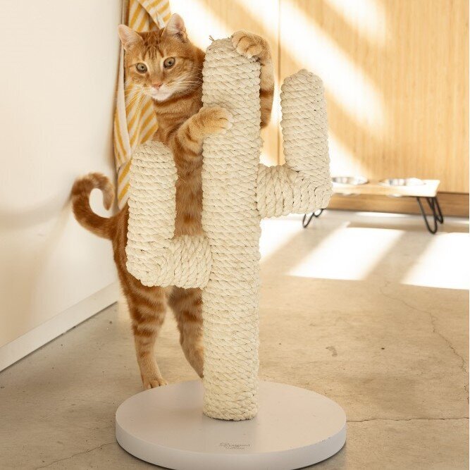 Designed by Lotte Holz Kratzbaum Cactus Bild 5