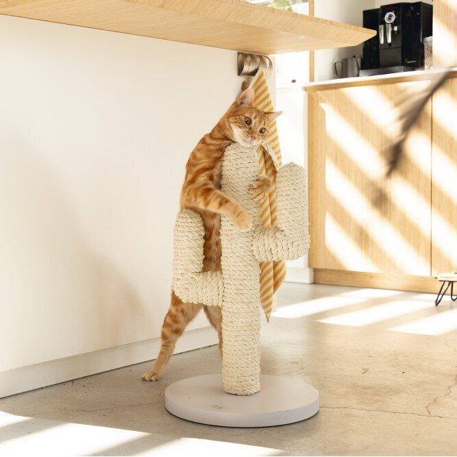 Designed by Lotte Holz Kratzbaum Cactus Bild 6