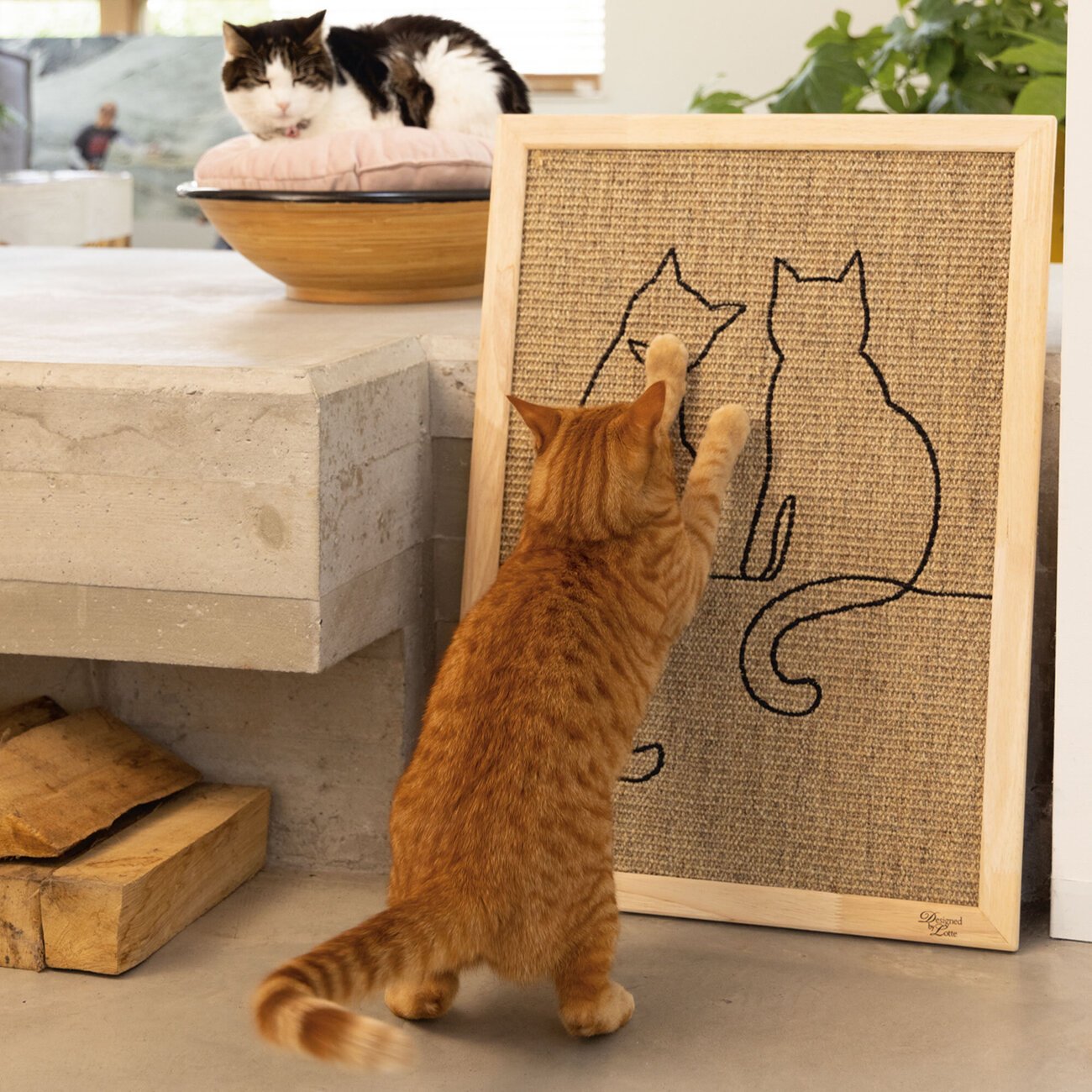 Holz Kratzbrett mit Motiv Bild 2