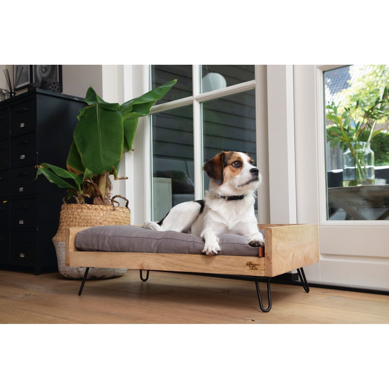 Designed by Lotte Holzbett für Hunde Turana Bild 5