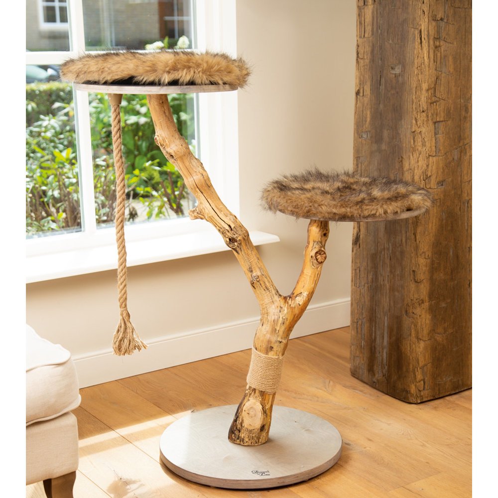 Designed by Lotte Holzkratzbaum Elora Bild 5