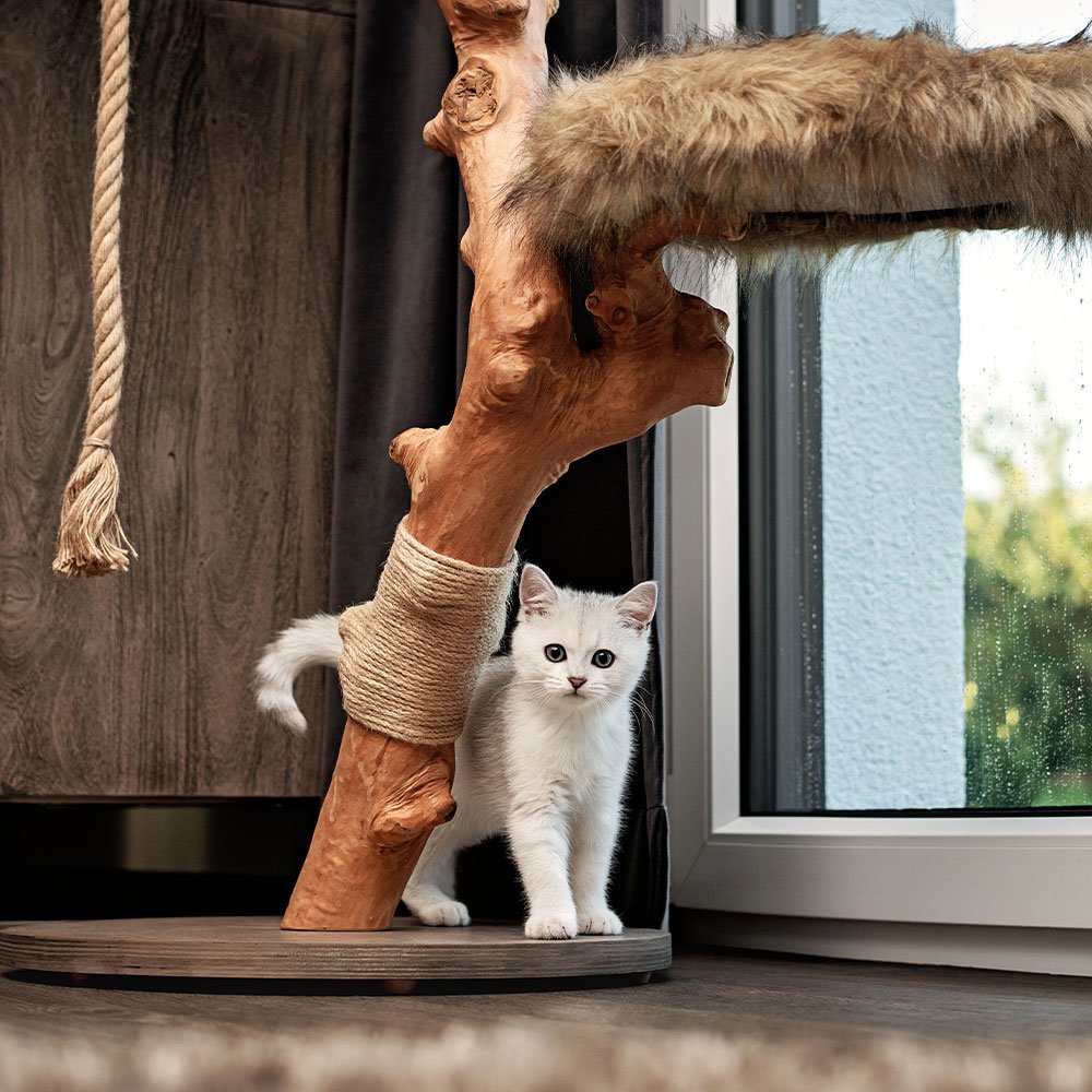 Designed by Lotte Holzkratzbaum Elora Bild 3