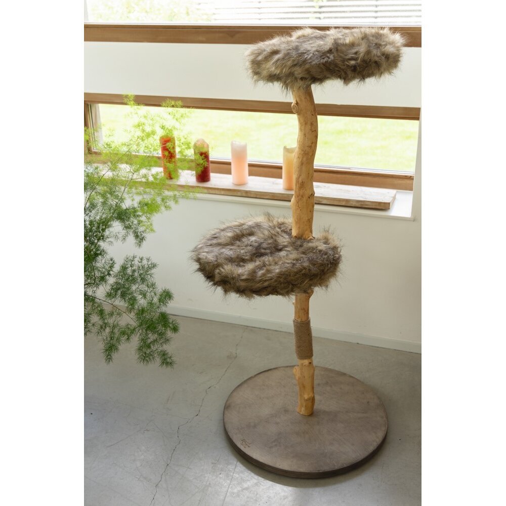 Designed by Lotte Holzkratzbaum Jazz Bild 2