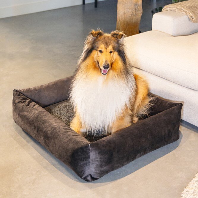 Hundebett Yndis Bild 4