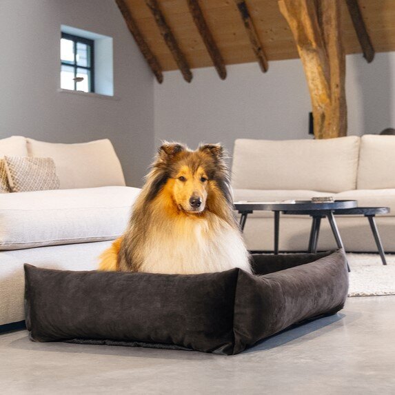 Hundebett Yndis Bild 2