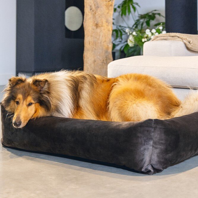 Hundebett Yndis Bild 6