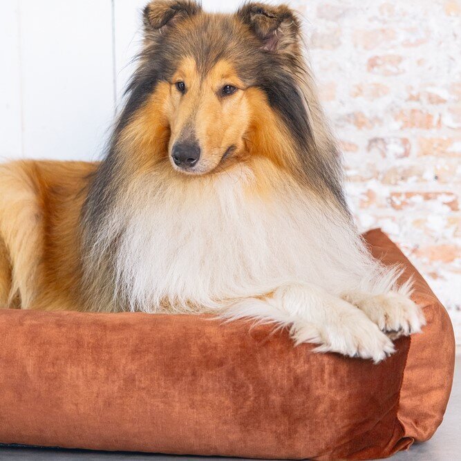 Hundebett Yndis Bild 12