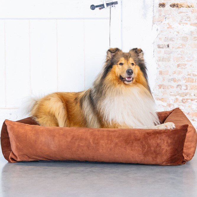 Hundebett Yndis Bild 13