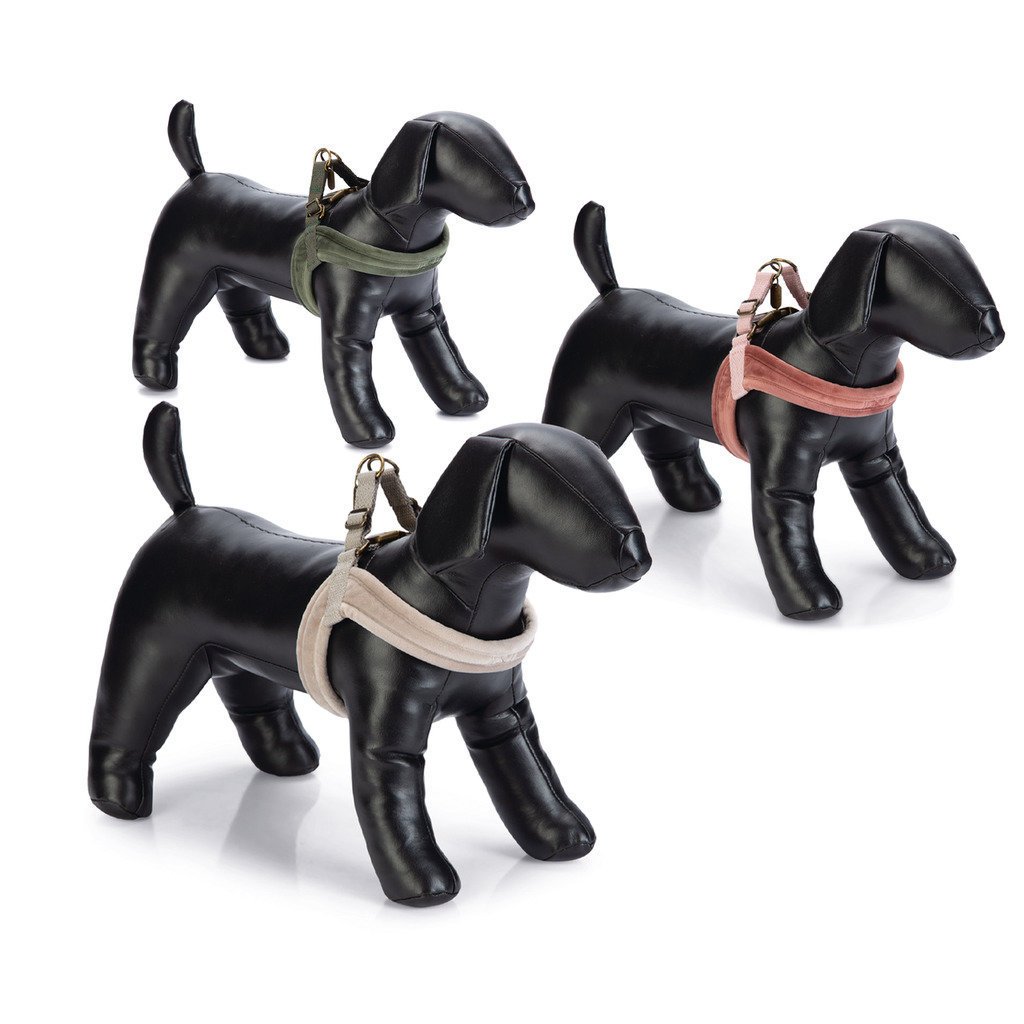 Hundegeschirr Velura Bild 1
