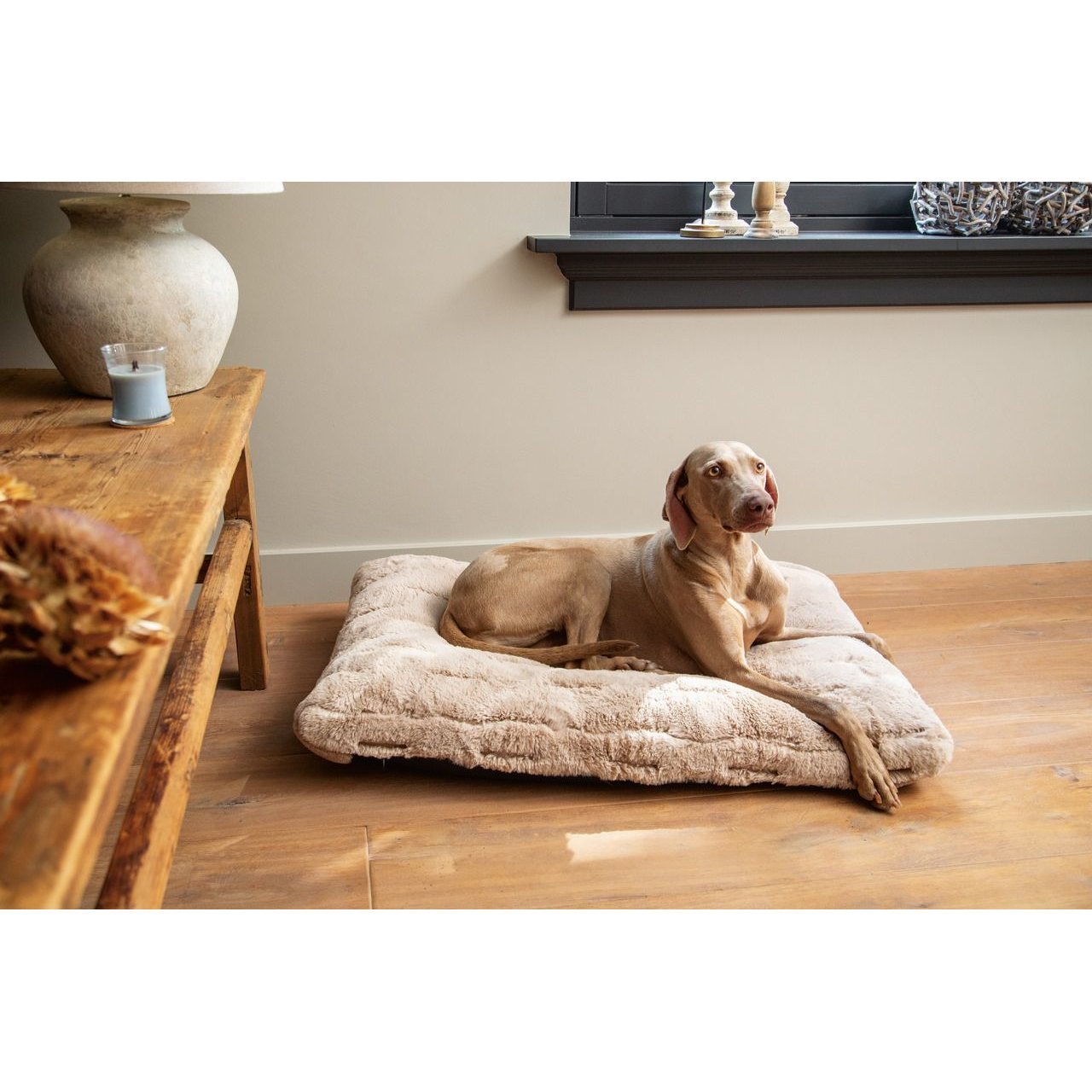 Hundekissen Xanti mit Bezug Bild 5