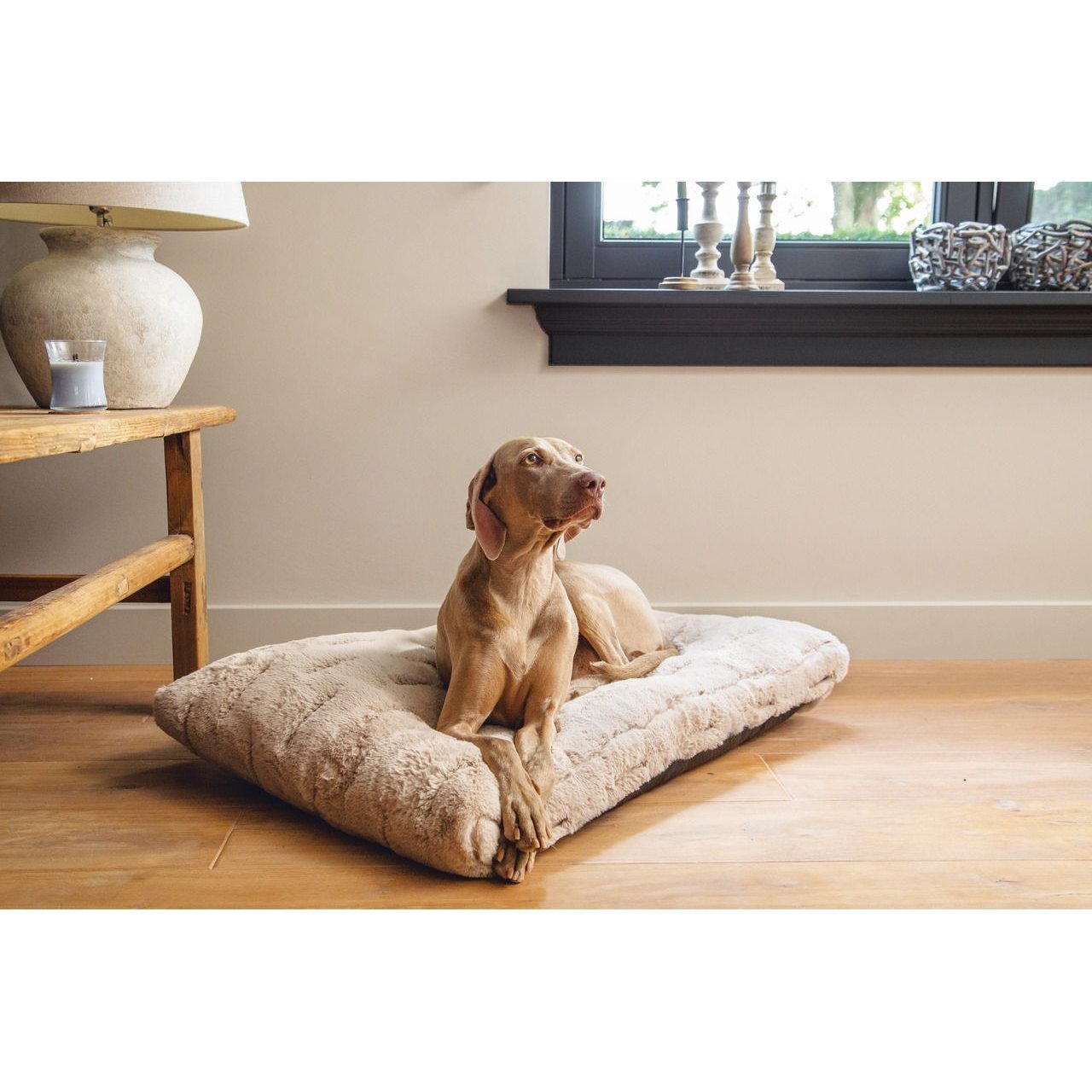 Hundekissen Xanti mit Bezug Bild 3