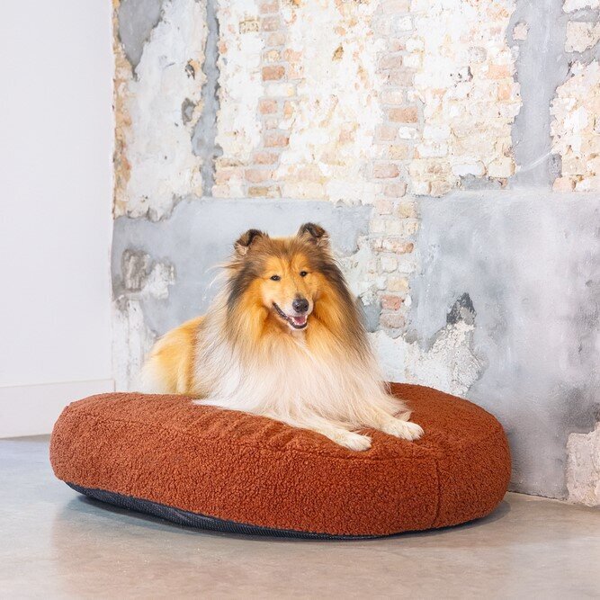 Hundekissen Yndis oval Bild 2