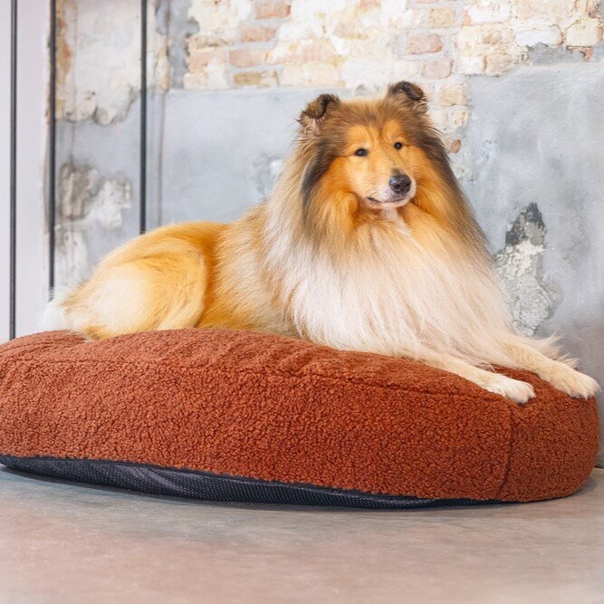 Hundekissen Yndis oval Bild 10